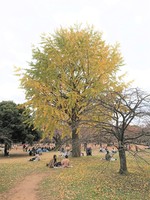 20201123 (10).JPG