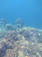DSC_0672.JPG