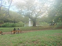 DSC_3259.JPG